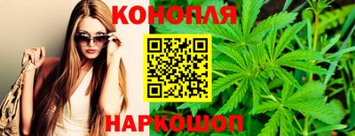 ALPHA PVP Шахты