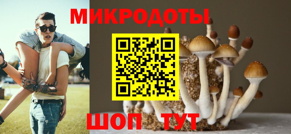 Псилоцибиновые грибы MAGIC MUSHROOMS  Вход с VPN  Галлюциногенные грибы GOLDEN TEACHER  Выкса 